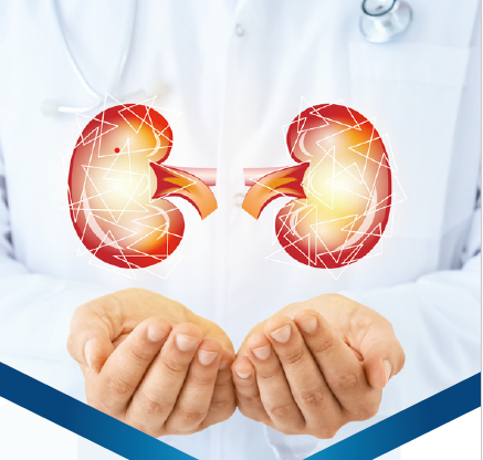 DIABETE MELLITO TIPO 2: PROTEZIONE CARDIO-RENALE come? quando? E perché?
